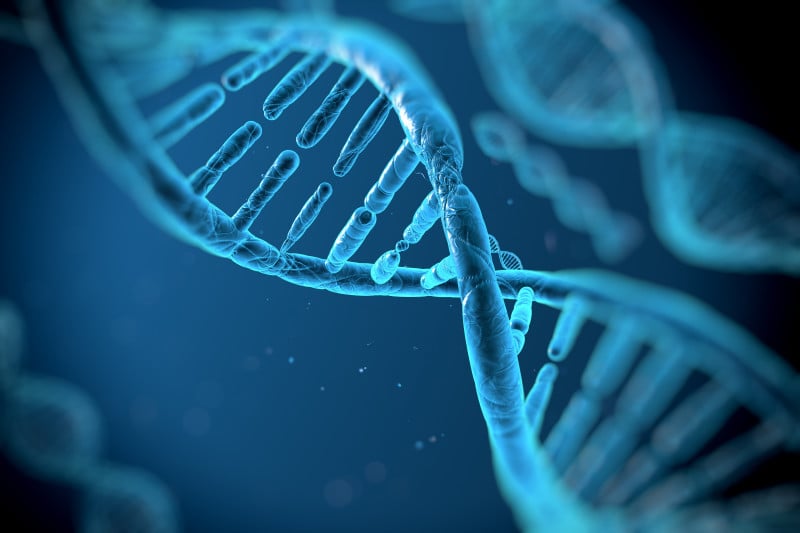 what should you know about your genes
