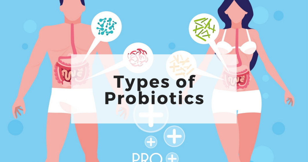 Types of Probiotics