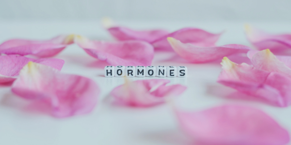 hormone therapy